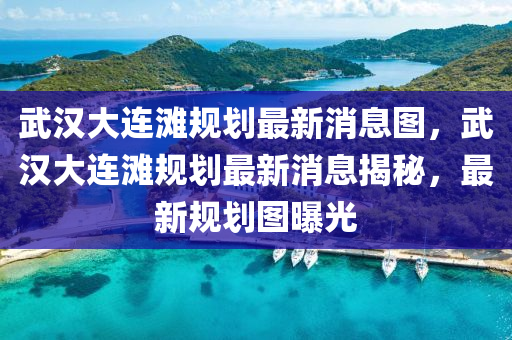 武漢大連灘規(guī)劃最新消息圖，武漢大連灘規(guī)圣農(nóng)（天津）集團(tuán)有限公司劃最新消息揭秘，最新規(guī)劃圖曝光
