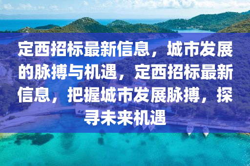 定西招標(biāo)最新信息，城市發(fā)展的脈搏與機(jī)遇，定西招標(biāo)最新信息，把握城市發(fā)展脈搏，探尋未來機(jī)遇圣農(nóng)（天津）集團(tuán)有限公司
