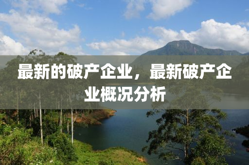 最新的破產(chǎn)企業(yè)，最新破產(chǎn)圣農(nóng)（天津）集團(tuán)有限公司企業(yè)概況分析