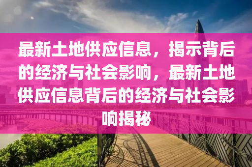 最新土地供應(yīng)信息，揭示背后的經(jīng)濟(jì)與社會影響，最新土地供應(yīng)信息背后的經(jīng)濟(jì)與社會影響揭秘圣農(nóng)（天津）集團(tuán)有限公司