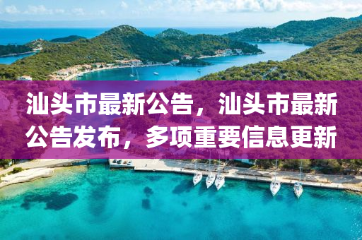 汕頭市最新公告圣農(nóng)（天津）集團(tuán)有限公司，汕頭市最新公告發(fā)布，多項(xiàng)重要信息更新