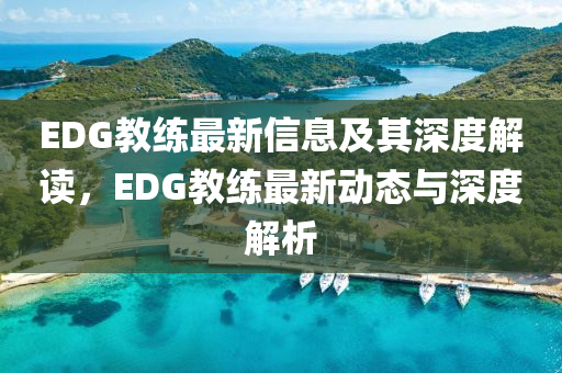 EDG教練最新信息及其深度解讀，EDG教練最新動態(tài)與深度解析圣農(nóng)（天津）集團(tuán)有限公司