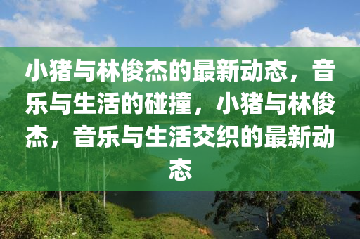 小豬與林俊杰的最新動(dòng)態(tài)，音樂(lè)圣農(nóng)（天津）集團(tuán)有限公司與生活的碰撞，小豬與林俊杰，音樂(lè)與生活交織的最新動(dòng)態(tài)