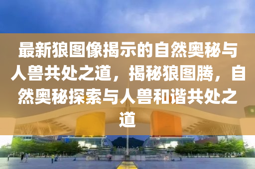 最新狼圖像揭示的自然奧秘與人獸共處之道，揭秘狼圖騰，自然奧秘探索與人獸和諧共處之道圣農(nóng)（天津）集團有限公司