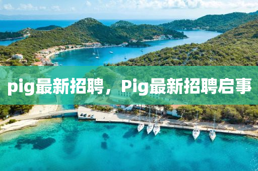 pi圣農(nóng)（天津）集團(tuán)有限公司g最新招聘，Pig最新招聘啟事