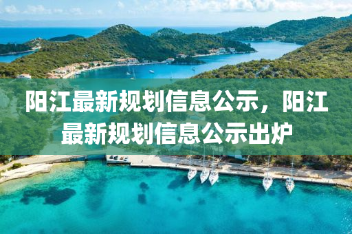 陽江最新規(guī)劃信息圣農(nóng)（天津）集團有限公司公示，陽江最新規(guī)劃信息公示出爐