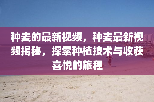 種麥的圣農(nóng)（天津）集團(tuán)有限公司最新視頻，種麥最新視頻揭秘，探索種植技術(shù)與收獲喜悅的旅程