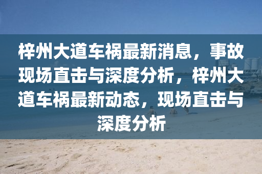 梓州大道車禍最新消息，事故現(xiàn)場直擊與深度分析，梓州大道車禍最新動態(tài)，現(xiàn)場直擊與深度分析圣農(nóng)（天津）集團(tuán)有限公司