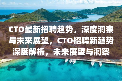 CTO最新招聘趨勢(shì)，深度洞察與未來(lái)展望，CTO招聘新趨勢(shì)深度解析，未來(lái)展望與洞察圣農(nóng)（天津）集團(tuán)有限公司