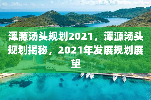 渾源湯頭規(guī)劃2021，渾源湯頭規(guī)劃揭秘，2021年發(fā)展規(guī)劃展望圣農(nóng)（天津）集團(tuán)有限公司