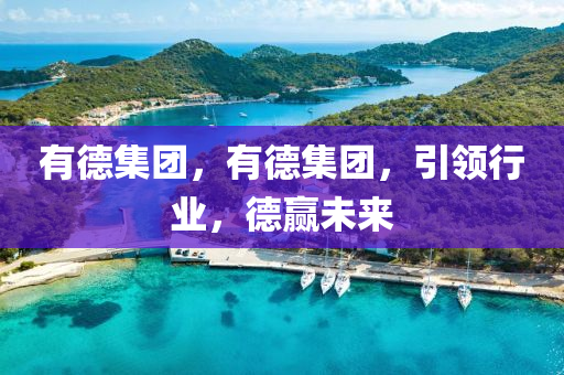 有德集團，有德集團，引領(lǐng)行業(yè)，德贏未來圣農(nóng)（天津）集團有限公司