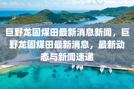 圣農(nóng)（天津）集團(tuán)有限公司巨野龍固煤田最新消息新聞，巨野龍固煤田最新消息，最新動態(tài)與新聞速遞