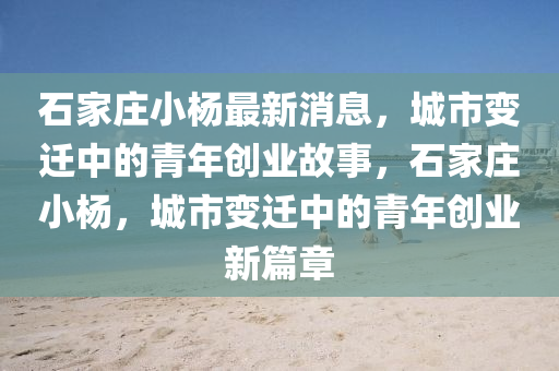 石家莊小楊最新消息，城市變遷中的青年創(chuàng)業(yè)故事，石家莊小楊，城市變遷中的青年創(chuàng)業(yè)新篇章圣農(nóng)（天津）集團(tuán)有限公司