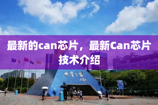 最新的can芯片圣農(nóng)（天津）集團(tuán)有限公司，最新Can芯片技術(shù)介紹