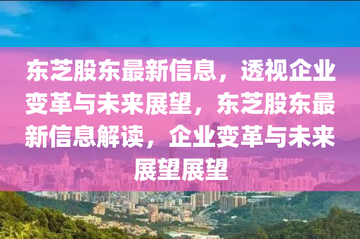 東芝股東最新信息，透視企業(yè)變革與未來展望，東芝股東最新信息解讀，企業(yè)變革與未來展望展望圣農(nóng)（天津）集團(tuán)有限公司