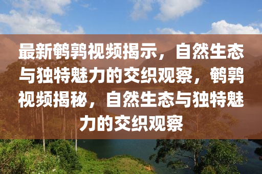 最新鵪鶉視頻揭示，自然生態(tài)與獨特魅力的交織觀察，鵪鶉視頻揭秘，自然生態(tài)與獨特魅力的交織觀察圣農(nóng)（天津）集團有限公司