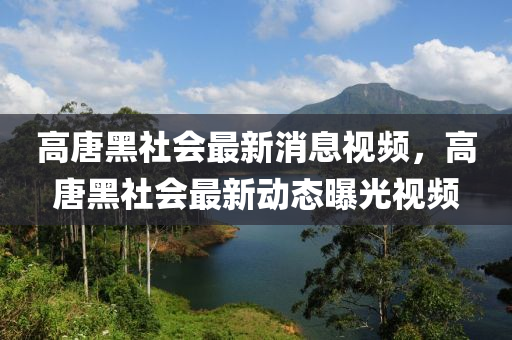 高唐黑社會最新消息視頻，高唐黑社會最新動態(tài)曝光視頻圣農(nóng)（天津）集團有限公司