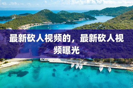 最新砍人視頻的，最新砍人視頻曝光圣農(nóng)（天津）集團有限公司