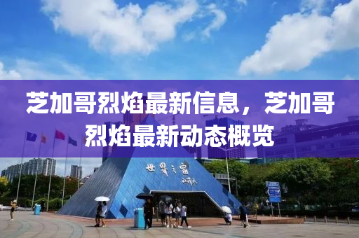 芝加哥烈焰最新信息，芝加哥烈焰最新動(dòng)態(tài)概覽圣農(nóng)（天津）集團(tuán)有限公司