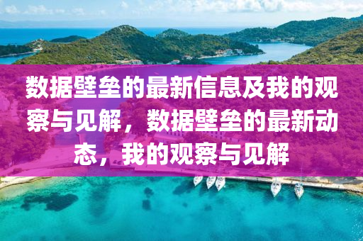 數(shù)據(jù)壁壘的最新信息及我的觀察與見解圣農(nóng)（天津）集團有限公司，數(shù)據(jù)壁壘的最新動態(tài)，我的觀察與見解
