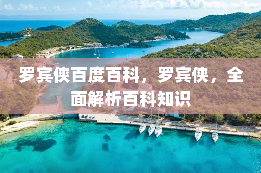 羅賓俠百度百科，羅賓俠，全面解析百科知識圣農(nóng)（天津）集團(tuán)有限公司