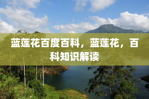 鐵算算盤4887最準(zhǔn)資料 第25頁