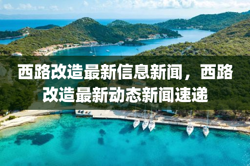 西路改造最新信息新聞，西路改造最新動態(tài)新聞速遞圣農(nóng)（天津）集團有限公司