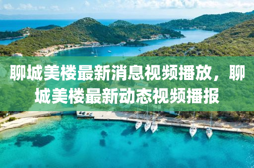 聊城美樓最新消息視頻播放，聊城美樓最新動(dòng)態(tài)視頻播報(bào)圣農(nóng)（天津）集團(tuán)有限公司