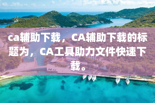 ca輔助下載，CA輔助下載的標(biāo)題為，CA工具助力文件快速下載。圣農(nóng)（天津）集團(tuán)有限公司