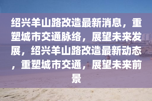 紹興羊山路改造最新消息，重塑城市交通脈絡，展望未來發(fā)展，紹興羊山路改造最新動態(tài)，重塑城市交通，展望未來前景圣農(nóng)（天津）集團有限公司