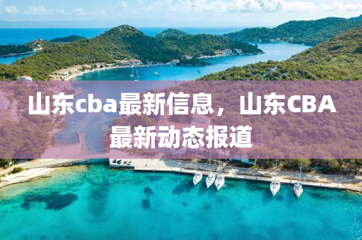 山東cba最新信息，山東圣農(nóng)（天津）集團(tuán)有限公司CBA最新動(dòng)態(tài)報(bào)道