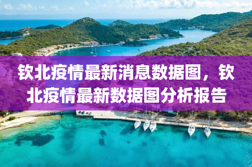 欽北疫情最新消息圣農(nóng)（天津）集團(tuán)有限公司數(shù)據(jù)圖，欽北疫情最新數(shù)據(jù)圖分析報(bào)告