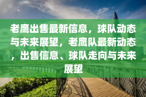 老鷹出售最新信息，球隊動態(tài)與未來展望，老鷹隊最新動態(tài)，出售信息、球隊走向與未來展望圣農（天津）集團有限公司