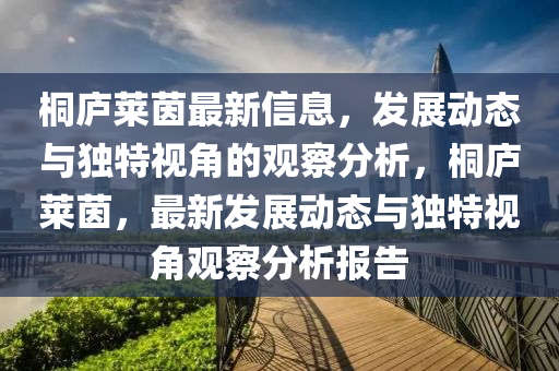 桐廬萊茵最新信息，發(fā)展動態(tài)與獨特視角的觀察分析，桐廬萊茵圣農(nóng)（天津）集團有限公司，最新發(fā)展動態(tài)與獨特視角觀察分析報告