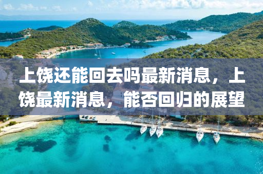 圣農(nóng)（天津）集團(tuán)有限公司上饒還能回去嗎最新消息，上饒最新消息，能否回歸的展望