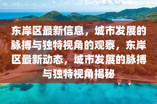 東岸區(qū)最新信息，城市發(fā)展的脈搏與獨(dú)特視角的觀察，東岸區(qū)最新動(dòng)態(tài)，城市發(fā)展的脈搏與獨(dú)特視角揭秘